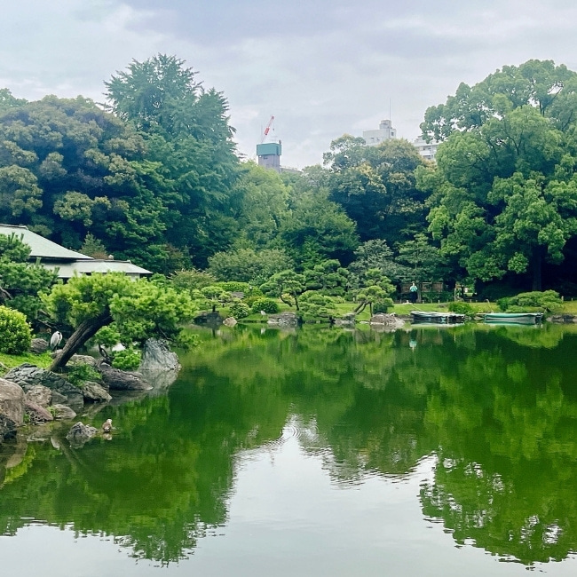 池の写真