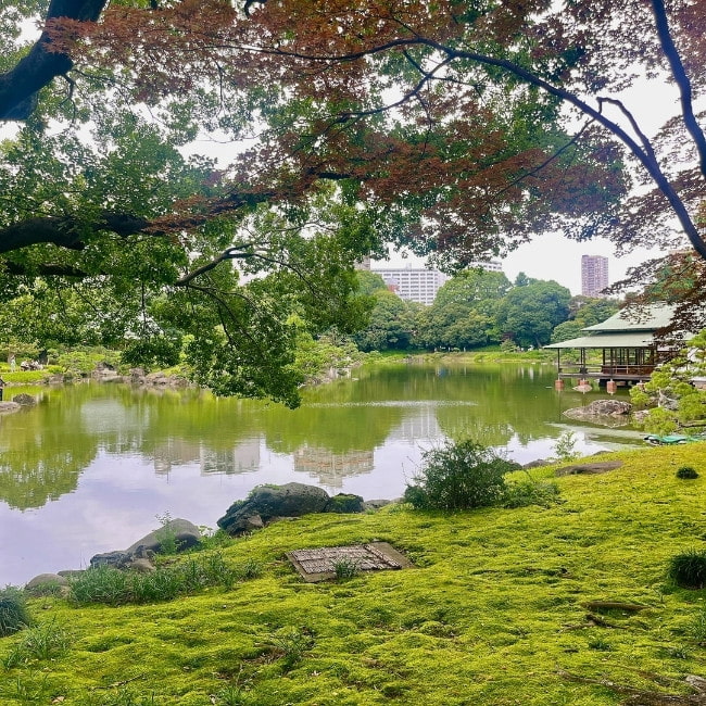 水際の写真