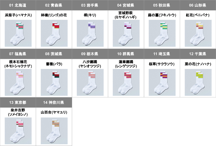 ソックス北海道、東北、関東