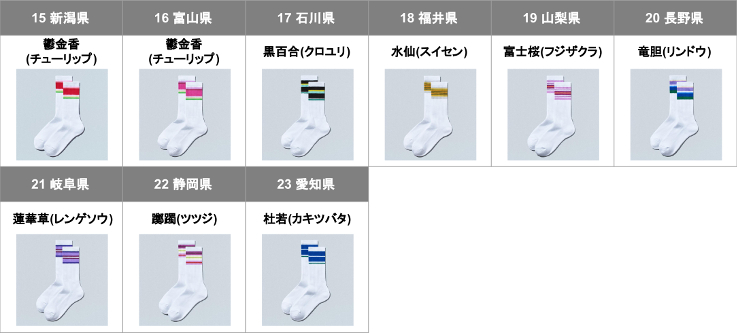 ソックス中部