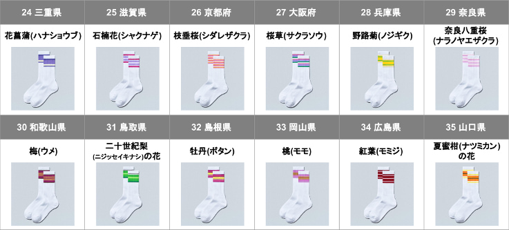 ソックス近畿、中国