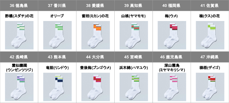ソックス四国、九州、沖縄