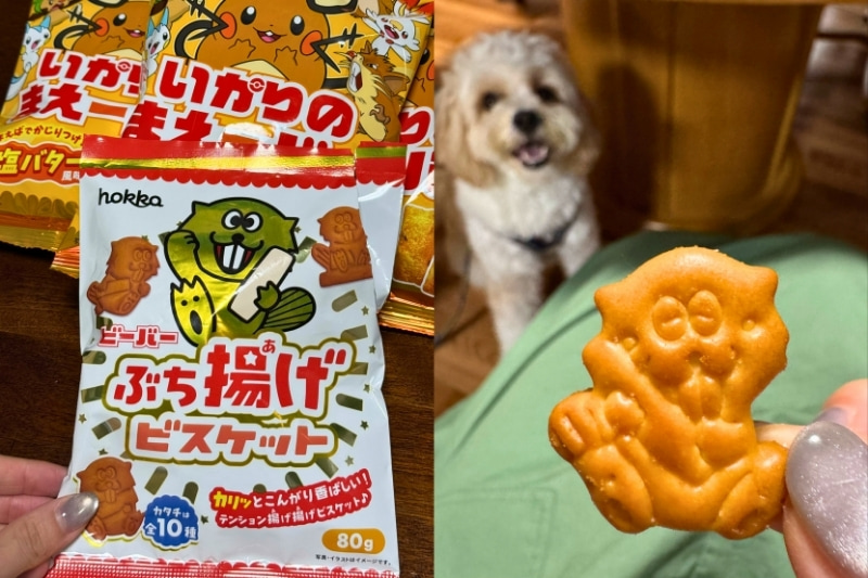 ビーバーのビスケットの写真