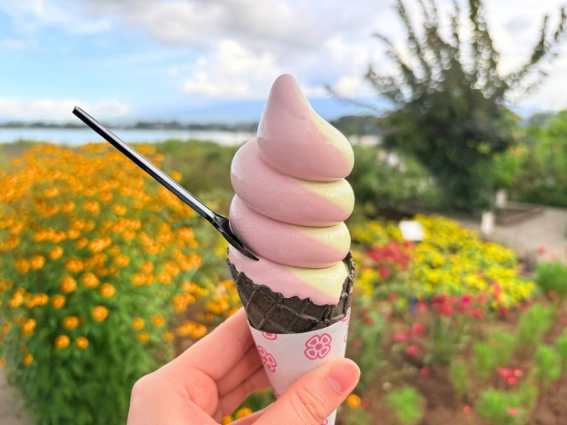 ソフトクリームと花々の写真