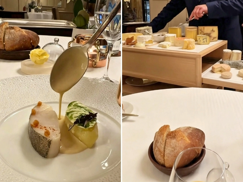 料理の写真
