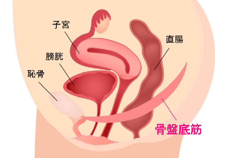 膣がゆるくなるのは日本人の“座るスタイル”の変化が影響？
