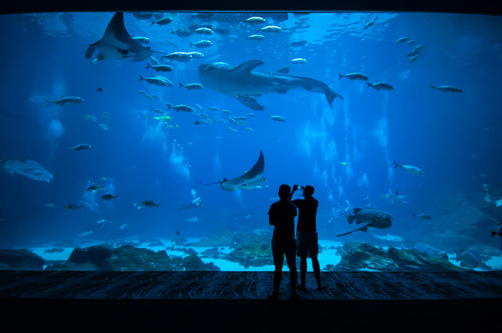 水族館